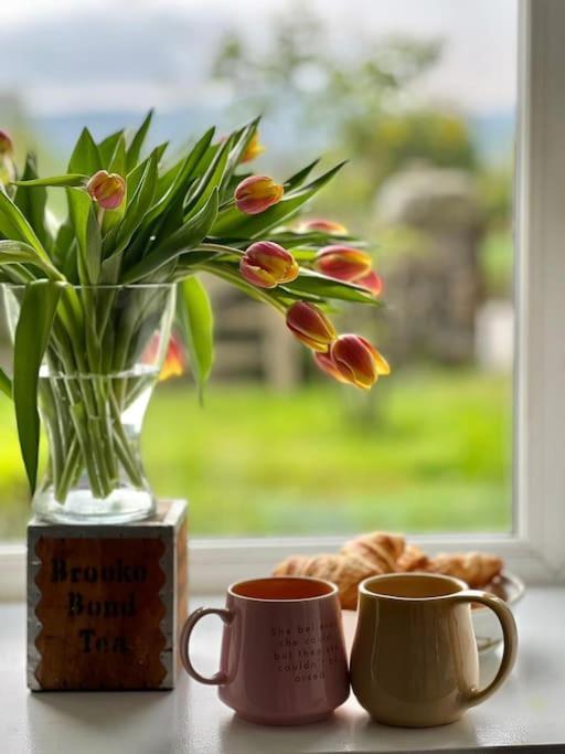 Cosy Country House In Deeside Finzean Quarto foto